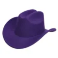 Paarse wollen vilt cowboyhoed detailweergave, klassieke vouw en opgekrulde rand. - Paars