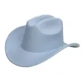 Gedetailleerd overzicht van lichtblauwe wolvilt cowboyhoed, stijlvolle rand en klassieke vouw. - Hemelsblauw