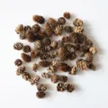 Natural pine cones for Christmas tree decoration, rustic dried pinecones bulk for crafts. - Small Pine Cone / Pack of 230 Pieces / Original Color