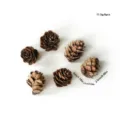 Christmas pine cones decorative accessories, 6pcs set, mini natural style wreath crafts. - Set of 6 / Rose Pine Cones 2-3cm