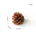 Piña de pino natural decoración de árbol de navidad cono de pino seco para manualidades adorno - Piña de Pino Natural / 4-5cm / Marrón natural