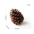 Piña natural decoración de árbol de navidad piña seca grande decoración para el hogar 1pc. - Piña de Pino Natural / 9-12cm / Marrón natural