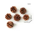 Natural pine cones set of 6 for Christmas wreath decoration, 5cm rustic holiday ornaments. - Set of 6 / Natural Pine Cones 4-5cm