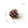 Adorno de piña nevada, 4.5x5cm cono de pino blanco esarchado para decoración de árbol. - Piña Pintada de Blanco / 4-5cm / Blanco Brillante