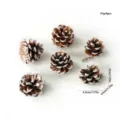 Artificial snow-tipped pine cones for Christmas tree decoration wreaths DIY crafts 6pcs set - Set of 6 / White Frosted Pine Cones 3-4cm