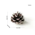 Piña de pino nevada natural decoración árbol de navidad, accesorio rústico para fotos, 1 ud. - Piña Pintada de Blanco / 5-6cm / Blanco Brillante