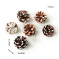 Artificial frosted pine cones Christmas tree decoration set 6pcs craft ornaments wreath DIY supplies - Set of 6 / White Frosted Pine Cones 5-6cm