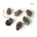 Frosted pinecones Christmas tree decorations small pine cones ornaments set for holiday DIY crafts 6pcs - Set of 6 / White Long Pine Cones 3-4cm