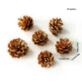 Gold artificial pine cones set of 6 pieces for Christmas wreath decoration and holiday crafts. - Set of 6 / Gold Painted Pine Cones 4-5cm