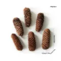 Natural pine cones decorative props 6pcs for Christmas wreath DIY crafts photography decor - Set of 6 / Scaly Pine Cones 8-10cm