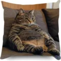 Cute fat cat print pillowcase, soft fabric sofa decorative cushion cover home decor. - Style 2