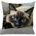 Süßer Kissenbezug mit siamesischer Katze, weicher Dekokissenbezug für Sofa und Bett. - Stil 15