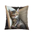 Niedlicher schlafender Katzen Kissenbezug weicher dekorativer Kissenbezug Sofa Heimtextil - Stil 32