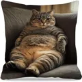 Lustiger dicker Katzen Kissenbezug, süßer weicher Sofa Kissenbezug für Wohnzimmer Deko. - Stil 25