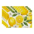 Summer lemon pattern fabric placemat table mat, elegant kitchen dining table decoration set. - 45x30cm Single / Style 2