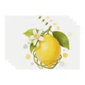 Summer lemon placemat fabric table mat linen kitchen dining decor non-slip pad set - 45x30cm Single / Style 39