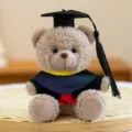 Adorable peluche d'ours de remise des diplômes portant une toque de gros plan détail. - Ours gris avec pompon noir