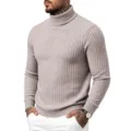 Herren Rollkragen Zopfmuster Pullover Hellgrau Slim Fit Langarm Freizeit Pullover - Beige