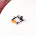 Primo piano dettagliato di un ciondolo in resina a forma di pesce rosso con stelle. - 05# Koi (1 Pezzo)