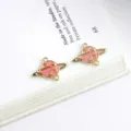 Close-up detail van planeet bedels van legering met sterren voor sieraden maken. - Planeet / 1 stuk (14x19mm) / Roze