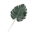 Petite Feuille de Monstera Imprimée en Couleur / Vert