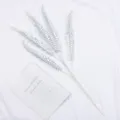 Feuilles de fougère argentées artificielles feuilles Boston en plastique pour mariage - Argent Blanc
