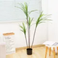 Pianta in Vaso Artificiale Albero del Viaggiatore Stile Nordico Falsa Palma Verde SKU - Clivia 150cm