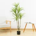 Pianta in vaso artificiale da interno verde decorativo albero del viaggiatore per casa - Falangio 120cm