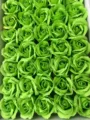 Boîte cadeau de fleurs de roses en savon artificiel vert têtes de roses éternelles décoratives - Vert Fruit