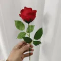 Gros plan de rose rouge artificielle avec des pétales vifs, des feuilles et une tige pour déco. - Rouge