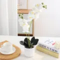 Détail en gros plan d'une orchidée blanche artificielle en pot pour décor d'intérieur. - Blanc