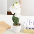 Vue détaillée d'une orchidée phalaenopsis blanche artificielle dans un pot blanc. - Blanc