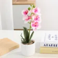 Artificial orchid potted plant with white vase and decorative stones for home room decor - White and Pink Gradient