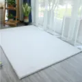 Witte nepkonijnenvacht pluche tapijt, dik harig vloerkleed voor woonkamer, slaapkamer en interieur. - 50*160cm Ovaal / Korte Pluche Zuiver Wit