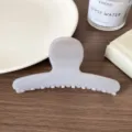Pinza de pelo gris claro minimalista, elegante garra de acrilico curvada para peinado diario. - Pinza de Pelo Recta Gris