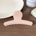Pinza para el pelo rosa curva minimalista, accesorio capilar liso elegante para mujeres. - Rosa Carne Recta Pinza de Pelo