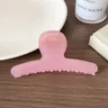 Pinza para el pelo rosa translúcida minimalista, diseño de arco elegante para mujeres. - Pinza de Pelo Recta Violeta Transparente