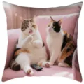 Süsser Katzen Deko Kissenbezug für Sofa Schlafzimmer, weicher Sofakissen Bezug Heimdekoration - Stil 18