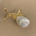 Gedetailleerde opname van de slakkenring van natuurlijke schelp met stijlvolle vergulde afwerking. - Stijl A