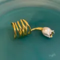 Gros plan détaillé de la bague tulipe perle spirale dorée avec texture coquillage et design ouvert. - Or et Blanc