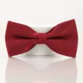 Nœud papillon bordeaux classique pour hommes, idéal pour costumes de mariage formels. - Rouge Vin Chaud Jacquard Nœud Papillon