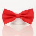 Nœud papillon rouge classique en satin double couche pour costume de mariage pour homme - Rouge Vif Lisse Classique