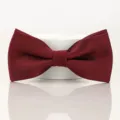 Noeud papillon bordeaux detail du tissu, accessoire elegant pour tenue de mariage. - Élégant Rouge Vin Rayures Fines Nœud Papillon