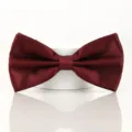 Nœud papillon bordeaux double couche pour hommes, idéal pour les mariages et costumes formels. - Rouge Sombre Lisse Classique