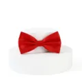 Nœud papillon rouge en satin classique pour homme mariage costume élégant accessoire. - Rouge Vif Classique