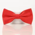 Vue détaillée de l'élégant noeud papillon rouge en tissu texturé fin pour tenue formelle. - Rouge Vif Rayure Fine Noeud Papillon