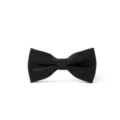 Nœud papillon noir classique pour homme détail double couche pour costumes formels. - Rayure Fine Noire