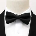 Nœud papillon noir classique pour homme, accessoire de cérémonie idéal pour mariages et soirées. - Noir Rayures Horizontales Nœud Papillon