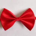 Gros plan du nœud papillon rouge vif montrant la texture du tissu lisse et sa forme classique. - Rouge