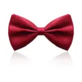 Noeud papillon bordeaux en satin pour homme, cravate papillon de mariage formelle classique. - Noeud Papillon Bordeaux Clair Double Couche Classique